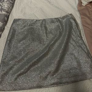 NWT SEQUIN/SHIMMER MINI SKIRT